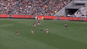 carlton fc GIF by Carlton Football Club