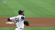 Ny Yankees Baseball GIF