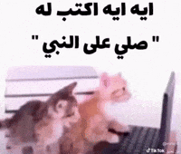 Mohammed GIF