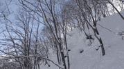 snowboard GIF by Red Bull