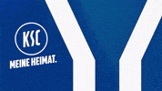 Soccer Bundesliga GIF by Karlsruher SC