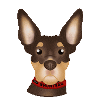 Cute Dog Sticker by zoopeez