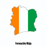 Ivory Coast Flag GIF by Formación Ninja