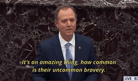 Adam Schiff Impeachment GIF