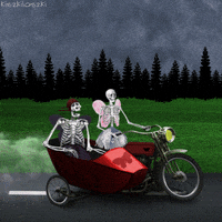 On The Road Joy GIF by Kiszkiloszki