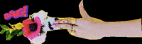 flowerbodega flowers gun nails bang GIF