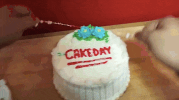 cake cutting GIF by HuffPost
