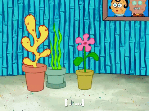 season 5 the krusty sponge GIF by SpongeBob SquarePants