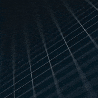 White Ring Animation GIF by SelfID