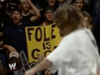 wrestling GIF by WWE