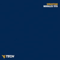 Swimming GIF by WVU Tech Golden Bears