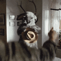 Kralik Zajic GIF by Fio banka