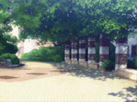 Looking For Show GIF