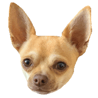 gizmo_uk dog no animal nope Sticker