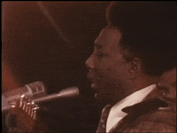 GIF by Muddy Waters