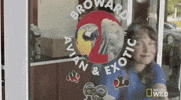 nat geo wild pets GIF by Dr. K's Exotic Animal ER