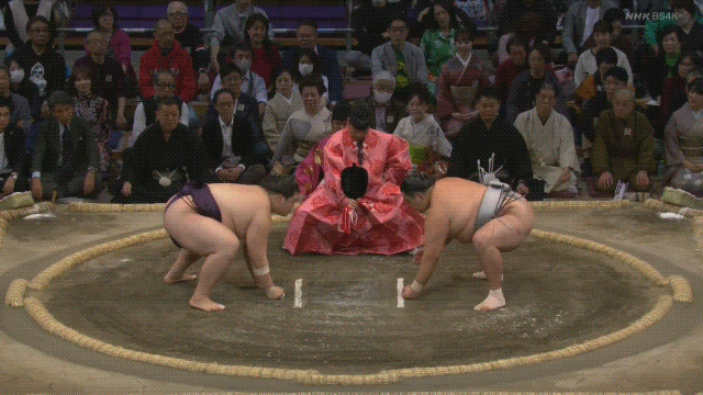 TZ85 giphyupload sumo oho 2023 kyushu GIF
