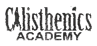 CalisthenicsAcademy workout street jordan academy Sticker