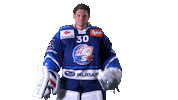 Flüeler Sticker by ZSC Lions