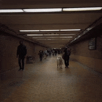Digital Art Wtf GIF by Voidz