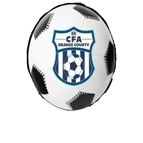 Soccer Ball Sticker by CFA OC