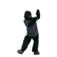 HurlingHatchet dance party dancing weekend Sticker