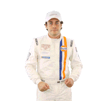 Racing Driver Sticker by Porsche GT3 Cup Brasil