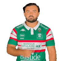Rugby Robin Sticker by EFFISSENS