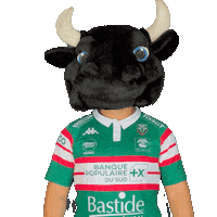 Rugby Romain Sticker by EFFISSENS