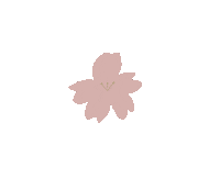 桜 Sticker