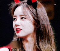 Hermitwaveslistener GIF
