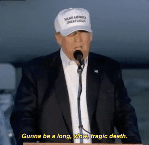 presidential election GIF by Election 2016
