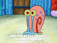 season 6 pet or pets GIF by SpongeBob SquarePants