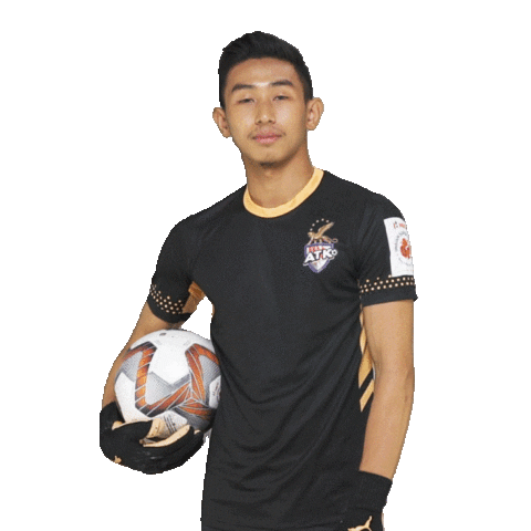Isl Sticker by Indian Super League