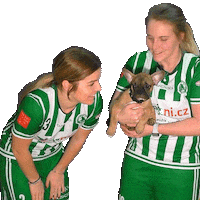 Sport Floorball Sticker by FbŠ Bohemians
