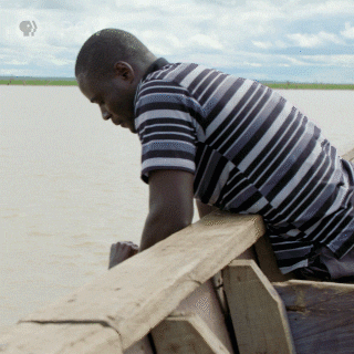 POVdocs pbs povdocs rescuelist therescuelist GIF