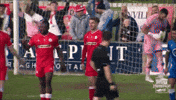 Well Done GIF by Cliftonville Football Club