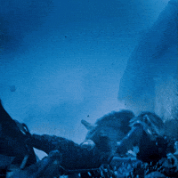 Horror Snow GIF