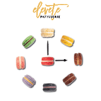 Macarons Sticker by Elevete