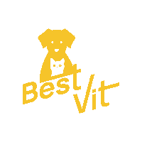 BestVitGmbH cat dog best hund Sticker