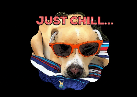 Creekdogtails giphygifmaker dog biscuit just chill GIF