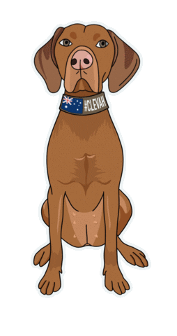Report Brandi Sticker