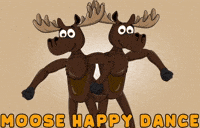 DoYouMoose happy dance dancing celebration GIF