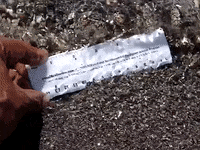 Education Biology GIF by DIIMSA Stock