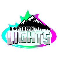Northern Lights Home Sticker by valken