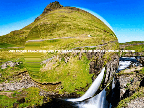 FranchiseONE giphygifmaker fun party business GIF