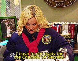 parks and rec GIF by REBEKAH