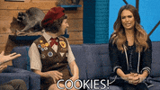 comedy bang bang ifc GIF