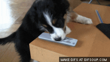 remote control GIF