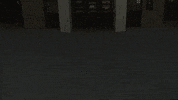 College Florida GIF by TiTi Talks